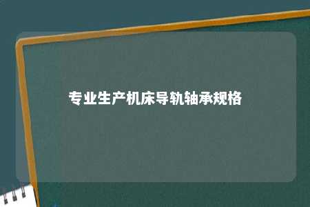 专业生产机床导轨轴承规格 